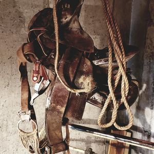 Meet your Posher, Bryan